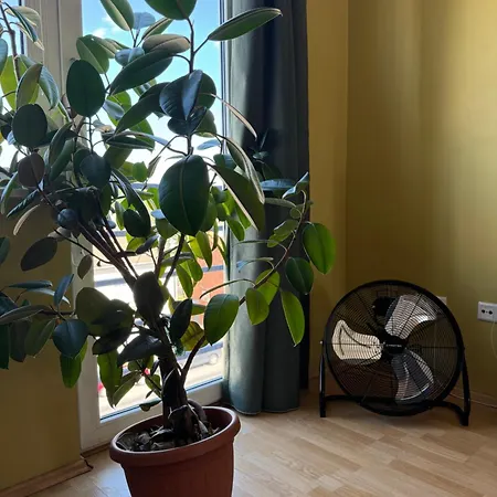 Apartment Near Centre *
